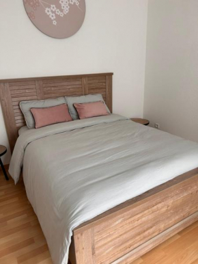 Appartement 1 chambre rue Faubourg de Besançon